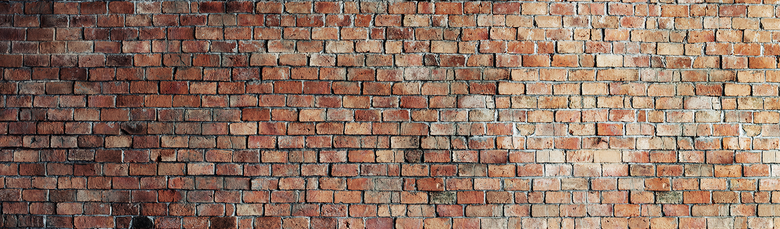 Fotografía de una pared de ladrillos